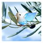 Eugy 3D Dove Model image number 5
