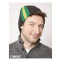 FREE PATTERN Caron Stripes on the Side Hat image number 1