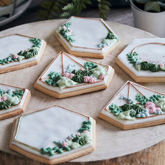 How to Make Terrarium Biscuits