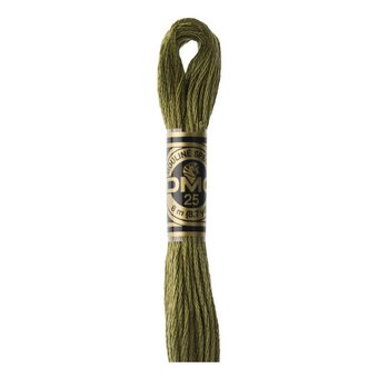 DMC Green Mouline Special 25 Cotton Thread 8m (3011)