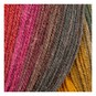 James C Brett Autumn Hues Aurora DK Yarn 100g  image number 2