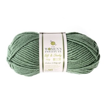 Women’s Institute Sage Soft and Chunky Yarn 100g