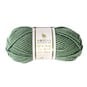 Women’s Institute Sage Soft and Chunky Yarn 100g image number 1