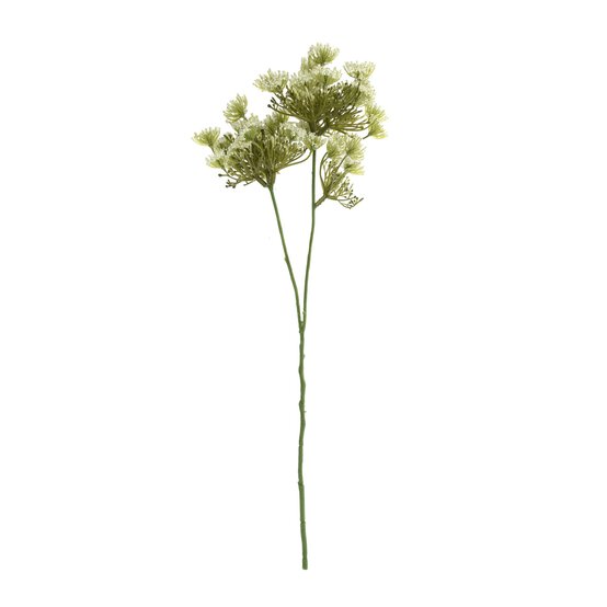 Cream Cow Parsley Stem 43cm image number 1