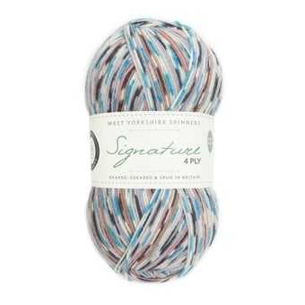 West Yorkshire Spinners Jay Signature 4 Ply 100g
