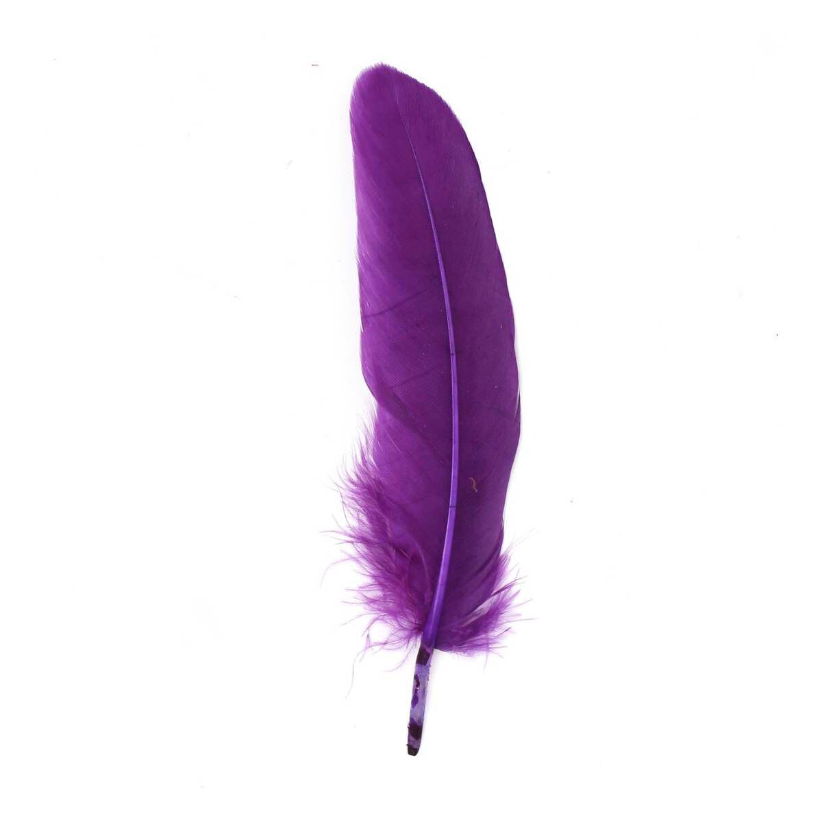 Assorted Feather Quills 3g | Hobbycraft