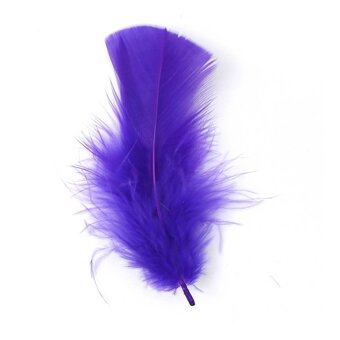 Assorted Craft Feathers 10g Bumper Pack image number 2