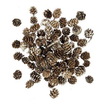 Small White Wash Pinecones 110g