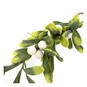Small Hanging Mistletoe 30cm image number 3