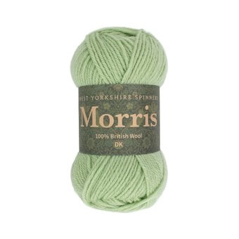 West Yorkshire Spinners Sage Morris DK 50g