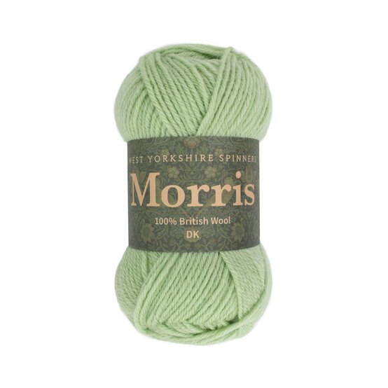 West Yorkshire Spinners Sage Morris DK 50g image number 1