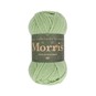 West Yorkshire Spinners Sage Morris DK 50g image number 1