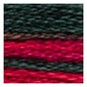 DMC Red and Green Coloris Mouline Cotton Thread 8m (4519) image number 2