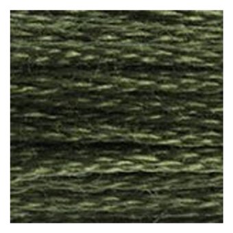 DMC Green Mouline Special 25 Cotton Thread 8m (3051)