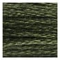DMC Green Mouline Special 25 Cotton Thread 8m (3051) image number 2