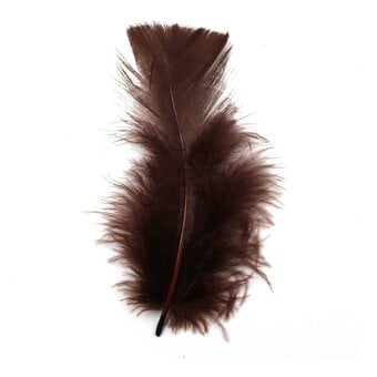 Brown Craft Feathers 5g image number 2