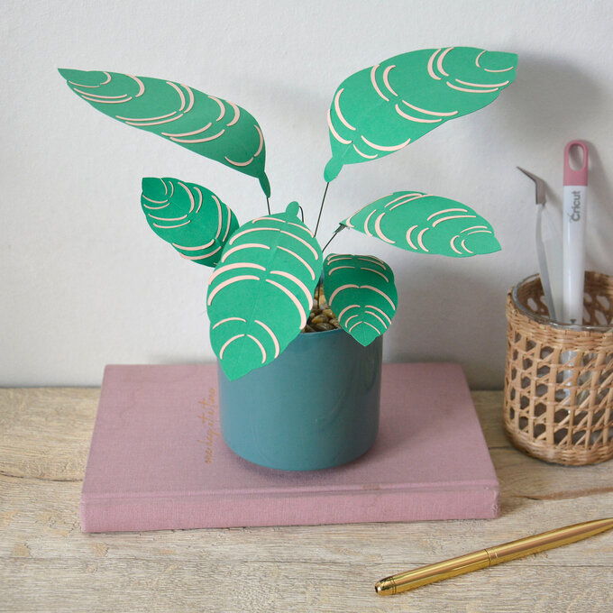 Cricut: How to Make a Paper Calathea Ornata Plant image number 1