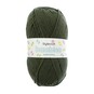 Stylecraft Fierce Fern Bambino DK 100g  image number 1
