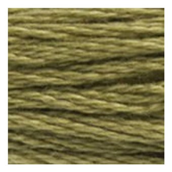 DMC Green Mouline Special 25 Cotton Thread 8m (3012)