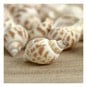 Mixed Bag of Striped Shells 250g image number 2
