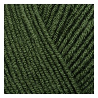 Stylecraft Fierce Fern Bambino DK 100g 