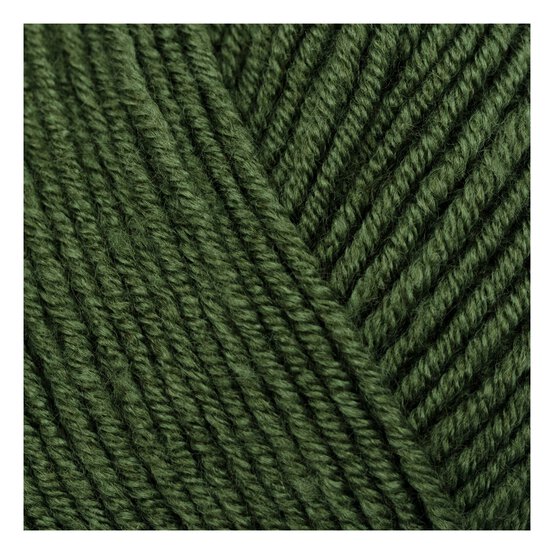 Stylecraft Fierce Fern Bambino DK 100g  image number 2