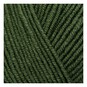 Stylecraft Fierce Fern Bambino DK 100g  image number 2