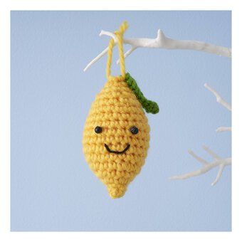 Make Your Own Crochet Lemon Kit