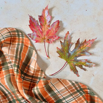 2 Ways to Preserve Autumn Leaves