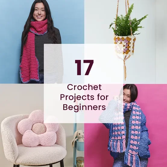17 Crochet Projects for Beginners image number 1