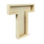 Wooden Fillable Letter T 22cm image number 1