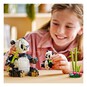 LEGO Creator 3 in 1 Wild Animals Panda Family image number 4