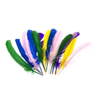 American Feathers 15 Pack