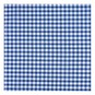 Sky 1/4 Gingham Fabric by the Metre image number 2
