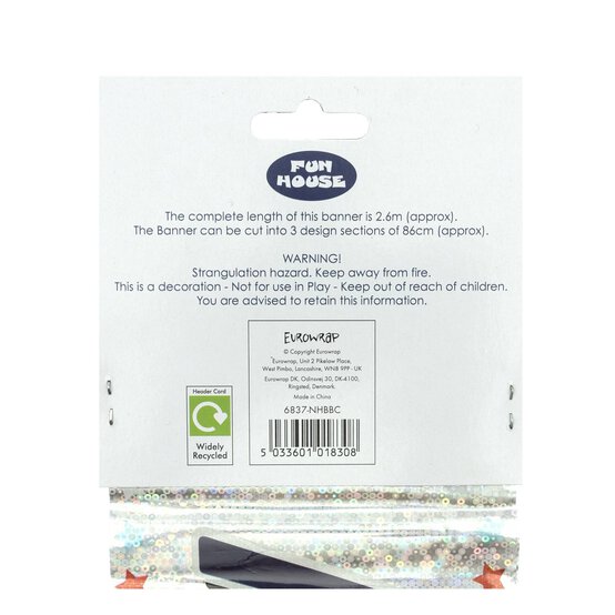 Birthday Boy Banner 2.5m image number 6