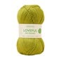 Sirdar Distilled Green Loveful Bio Blend Chunky 100g image number 1