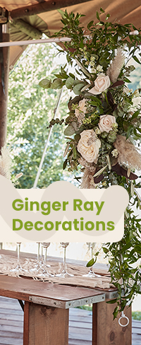 New Ginger Ray Decorations