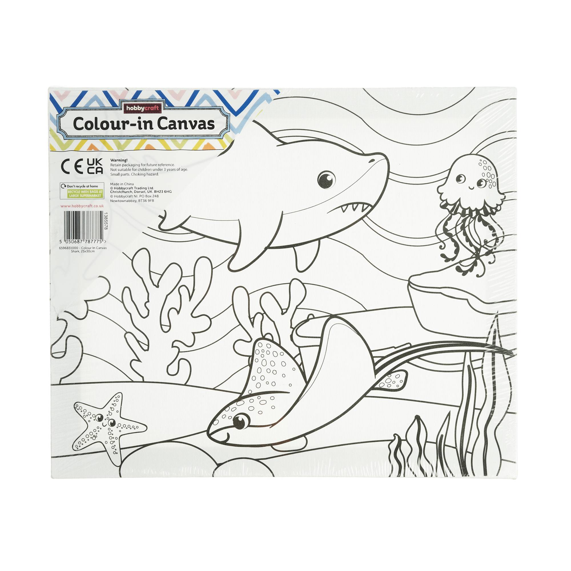 Shark ColourIn Canvas Hobbycraft