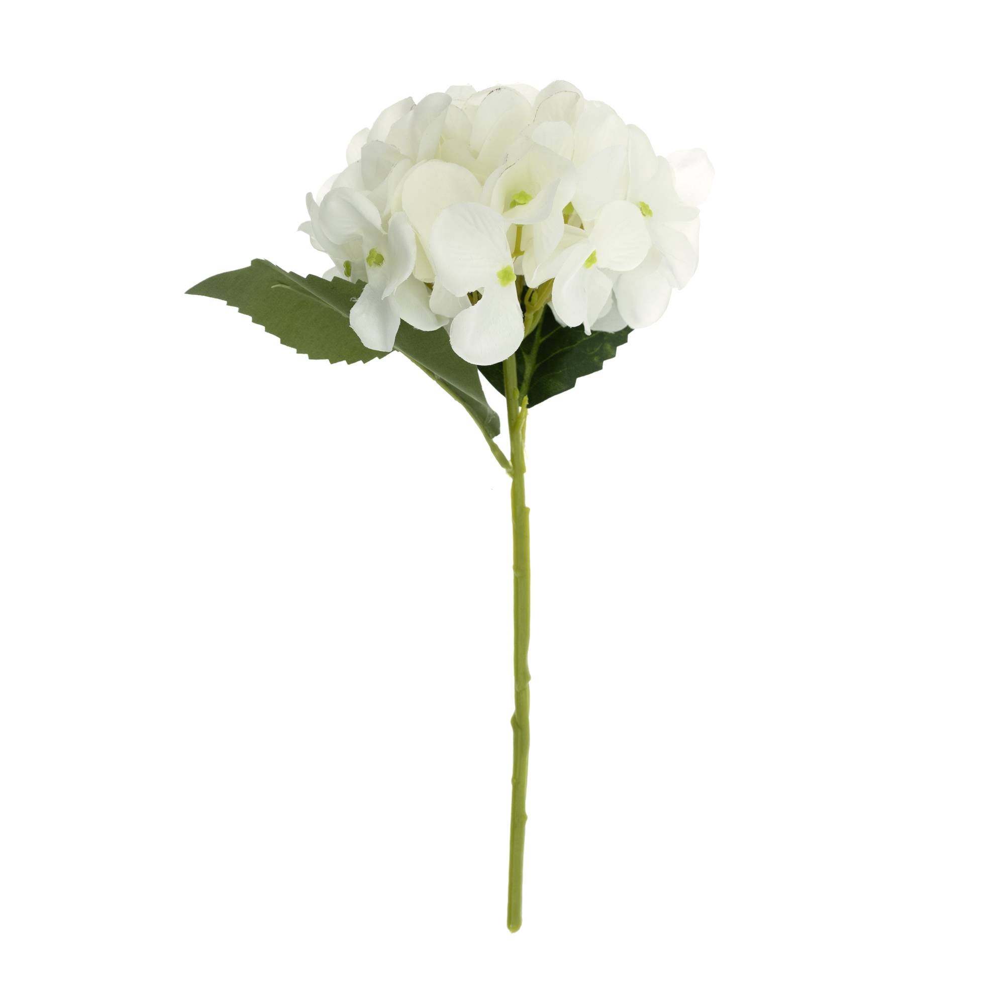 White Short Stem Hydrangea 36cm | Hobbycraft White Short Stem Hydrangea 36cm | Hobbycraft