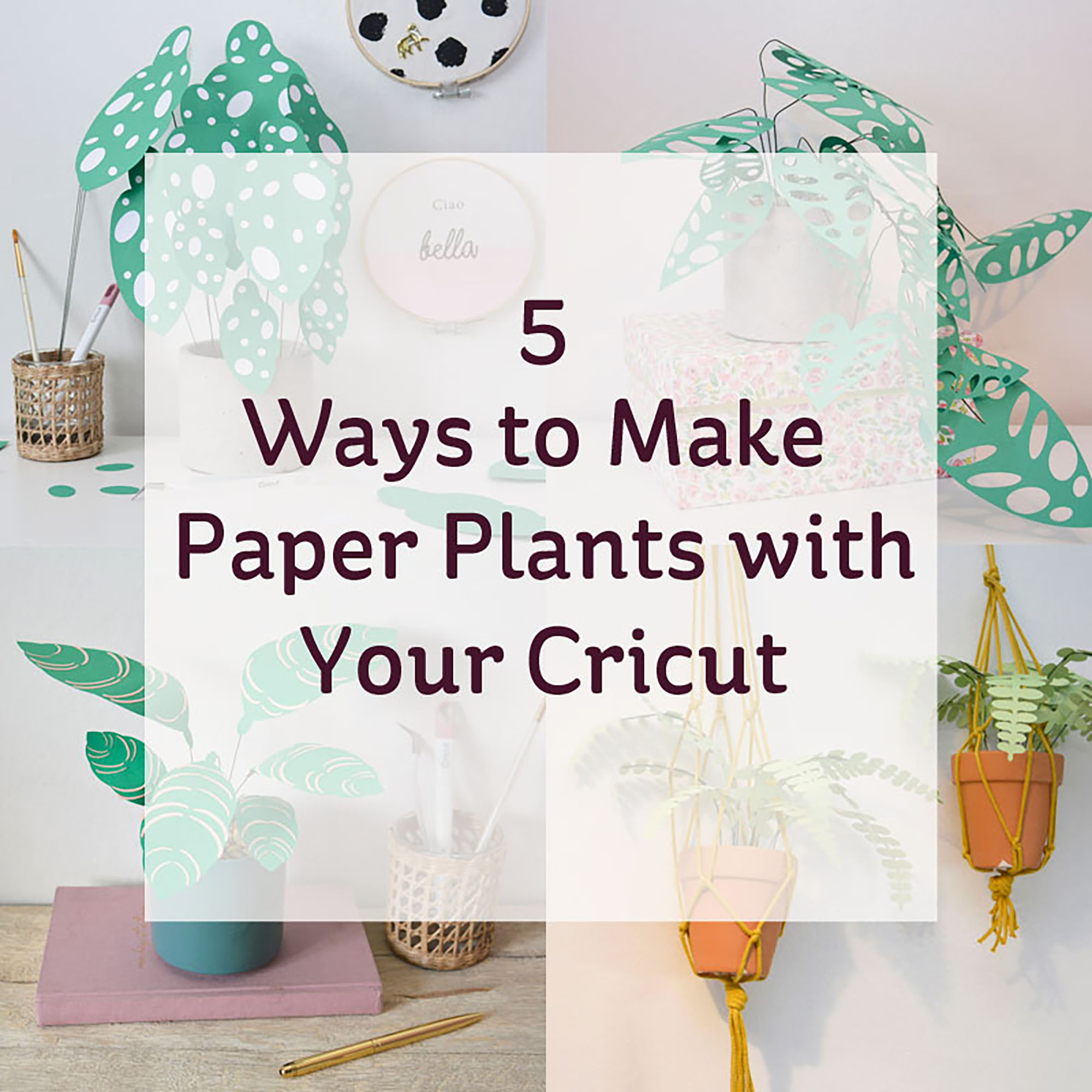 Cricut 5 Ways to Make Paper Plants Hobbycraft