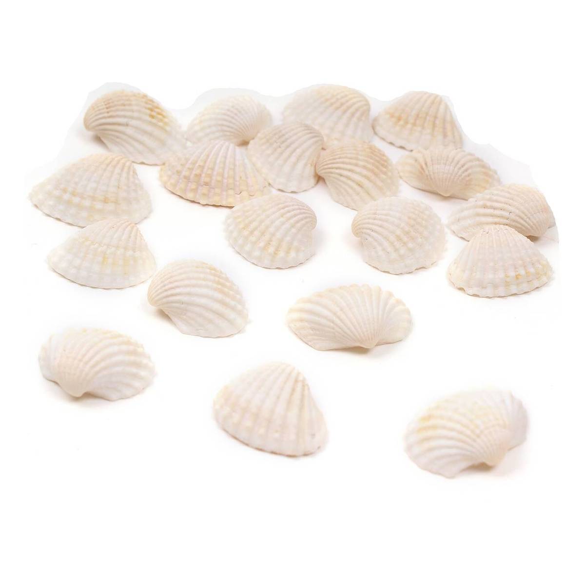1 Piece Craft Supplies Mini Colorful Glitter Sea Shells 