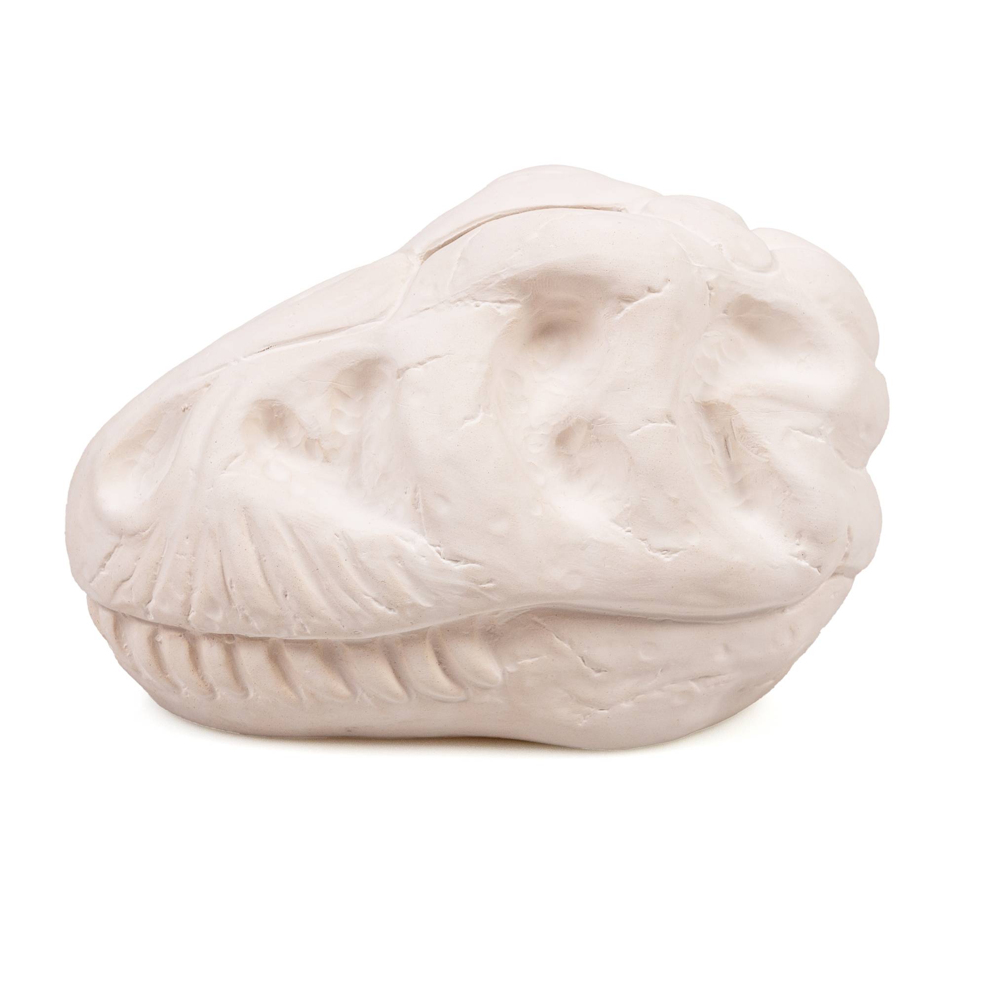 Paint Your Own Dinosaur Money Box Hobbycraft