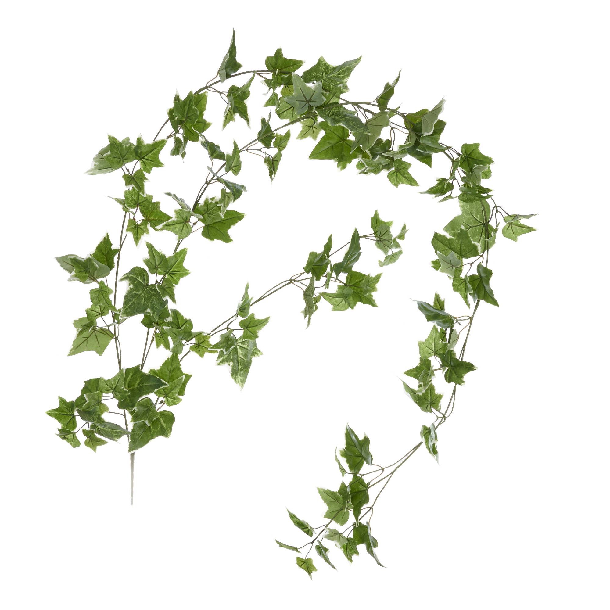 Green Ivy Garland 1.8m Hobbycraft