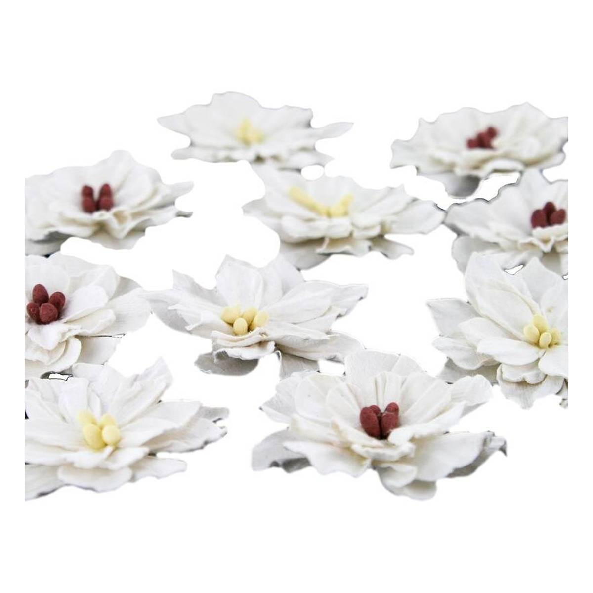 White Paper Flowers 10 Pack Hobbycraft