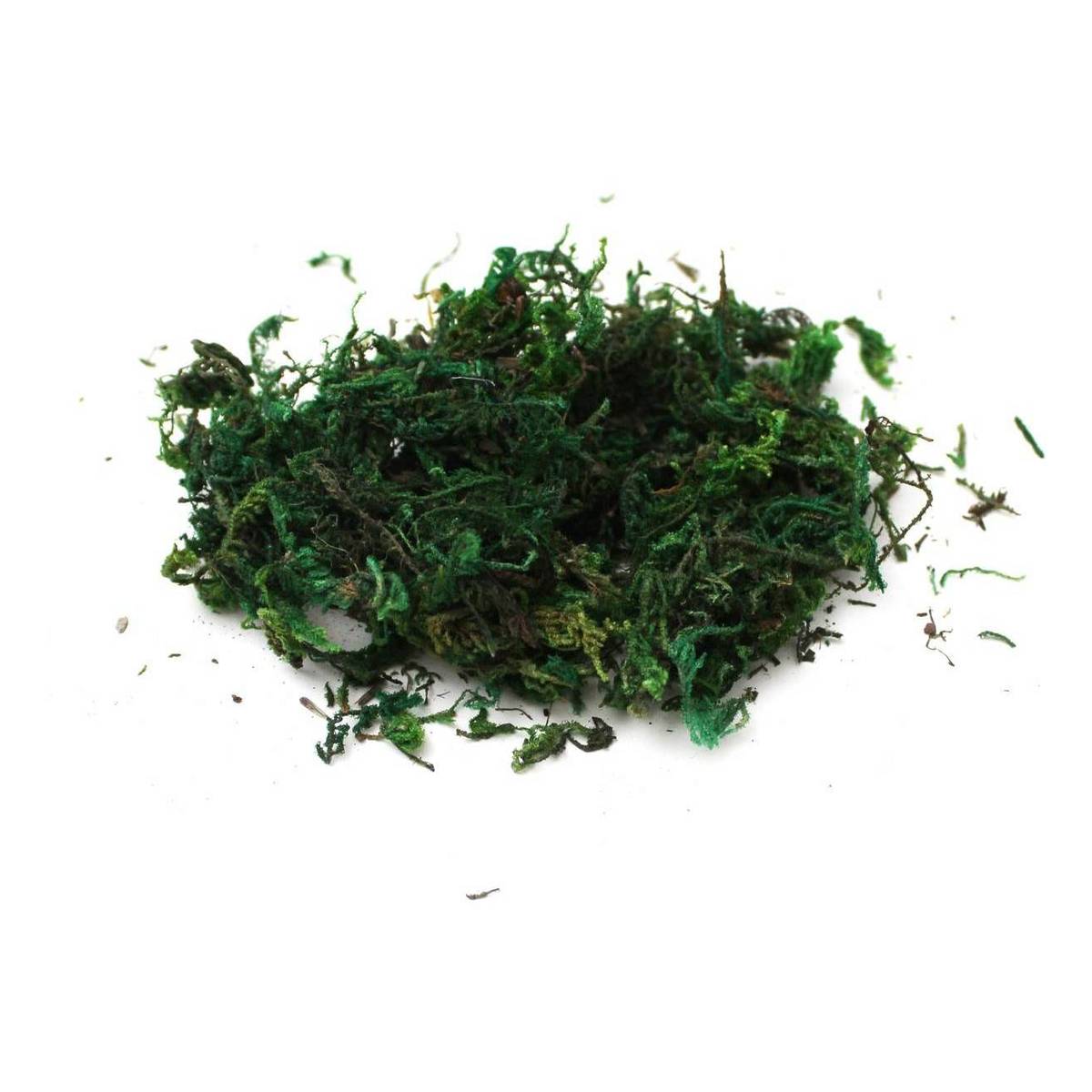 Buy Green Moss 40g for GBP 3.00 | Hobbycraft UK