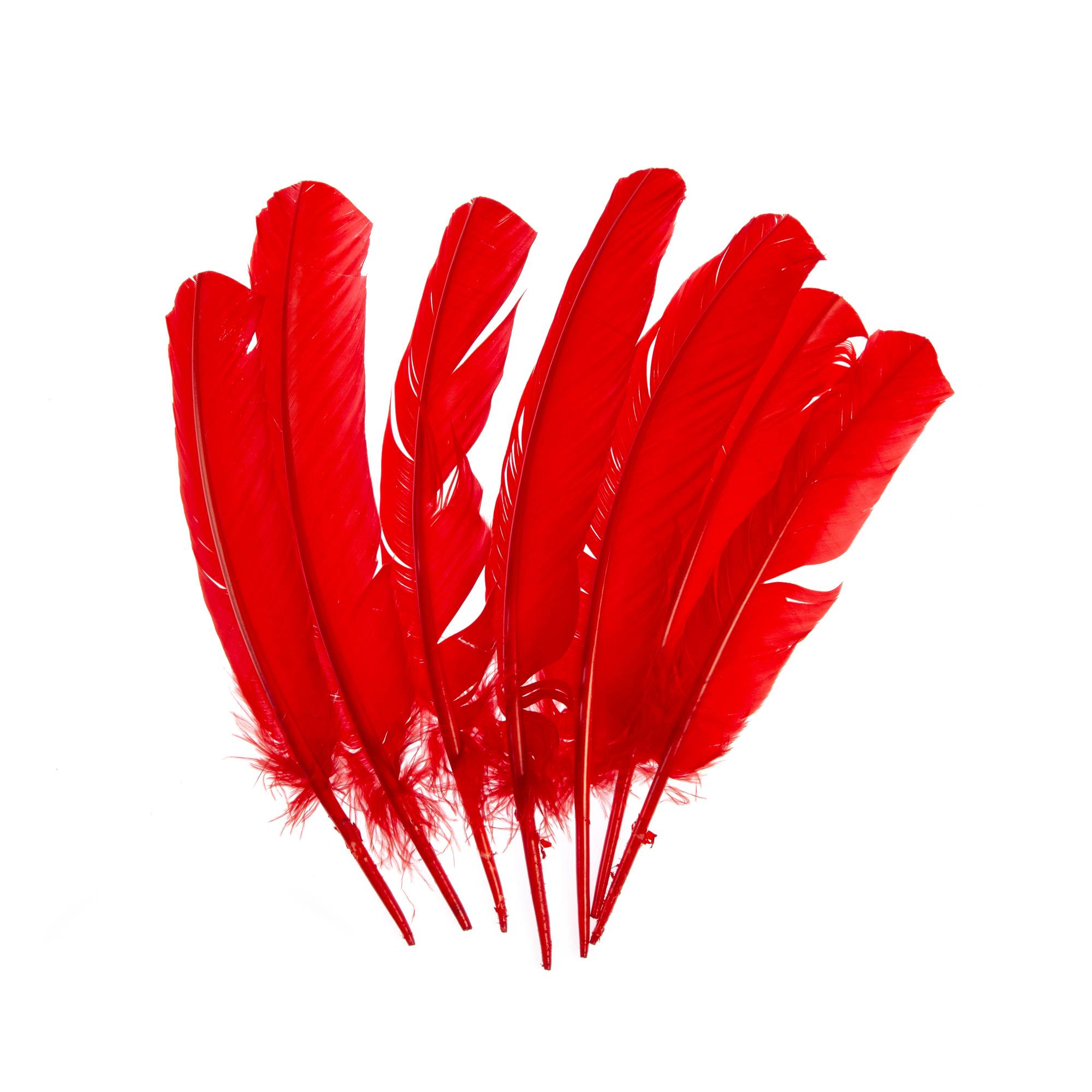 Red Feathers 7 Pack Hobbycraft